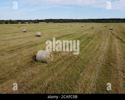 Aerial view of square hay bales in field after harvest Stock Photo