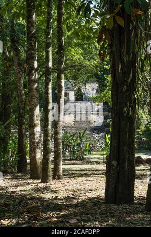 The Temple of the Skull, or Temple XII, in the ruins of the Mayan city of Palenque,  Palenque National Park, Chiapas, Mexico.  A UNESCO World Heritage Stock Photo