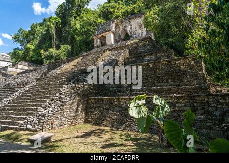 The Temple of the Skull, or Temple XII, in the ruins of the Mayan city of Palenque,  Palenque National Park, Chiapas, Mexico.  A UNESCO World Heritage Stock Photo