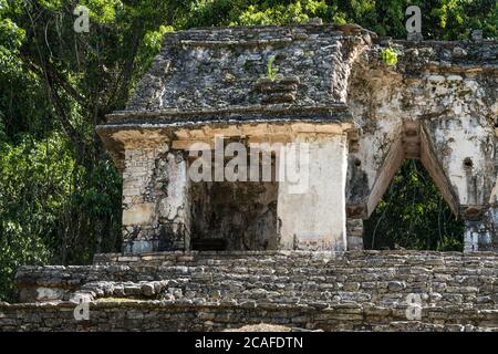 The Temple of the Skull, or Temple XII, in the ruins of the Mayan city of Palenque,  Palenque National Park, Chiapas, Mexico.  A UNESCO World Heritage Stock Photo