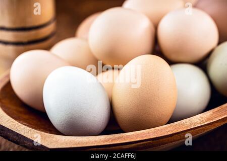Brazilian free-range eggs, natural free-range eggs from Minas Gerais Stock Photo