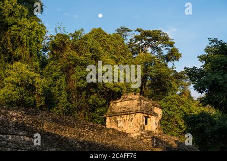 The Temple of the Skull, or Temple XII, in the ruins of the Mayan city of Palenque,  Palenque National Park, Chiapas, Mexico.  A UNESCO World Heritage Stock Photo