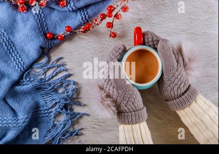 Womans hands in knitted woolen mittens holding mug of hot cacao. Winter concept. Stock Photo
