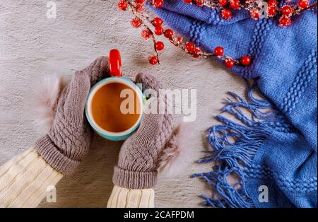 Womans hands in knitted woolen mittens holding mug of hot cacao. Winter concept. Stock Photo