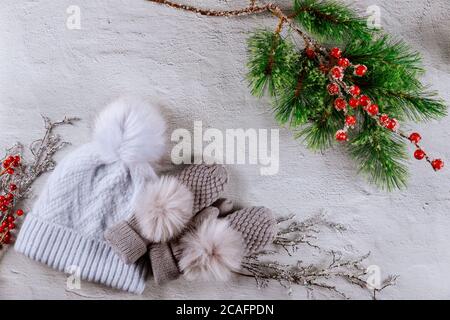 Knitted hat and gray mittens on white background with fir branch. Stock Photo