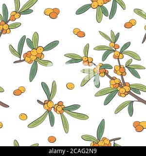 Sea buckthorn berry graphic color seamless pattern sketch background illustration vector Stock Vector