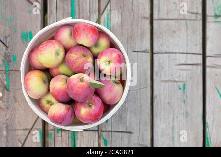 Red apples with green leaves in bucket on wooden table. Top view with copyspace. Stock Photo