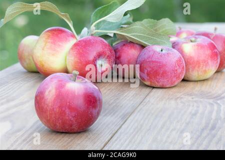 Red ripe apples with green leaves on wooden table outdoor Stock Photo