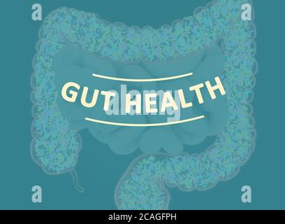 Gut bacteria, microbiome. Bacteria inside the large intestine, concept, representation. 3D illustration. Stock Photo