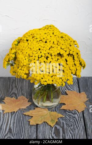 A bouquet of tansy in a glass goblet. Nearby are dried maple leaves. On a white background. Stock Photo