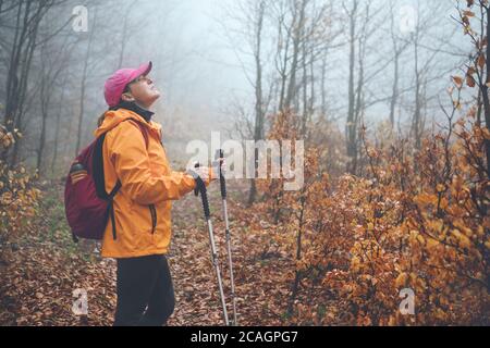Dressed bright orange jacket young female backpacker enjoying the nature. She walking in autumn foggy forest using trekking poles. Active people and a Stock Photo