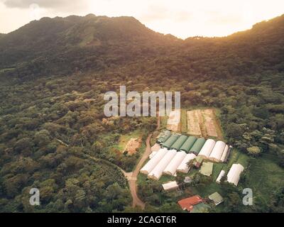 Big hangar in cacao plantation aerial drone view on sunset time Stock Photo