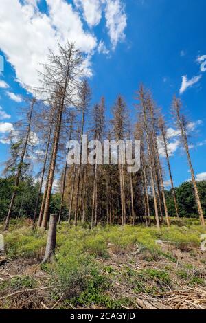 natural landscape in North Rhine-Westphalia Stock Photo - Alamy