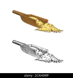 Ginger root spice, Chopped rhizome, Fresh plant ingredient. Vector Engraved hand drawn sketch. Pieces of ingredient set. Detox spice.  Stock Vector