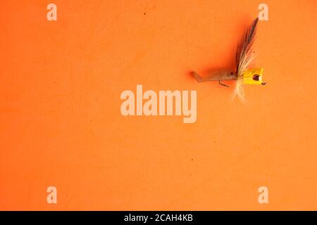 Small toy of a bird made from wood and feather stuck on an orange wall Stock Photo