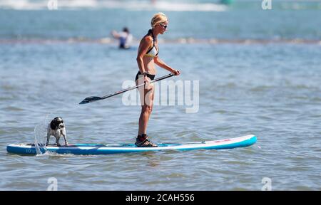 Calshot, New Forest. 7th August 2020. UK Weather. Visitors to Calshot beach on what is expected to be the hottest day of the year. A woman and her dog paddle boarding on The Solent. Credit Stuart Martin/Alamy Live News Stock Photo