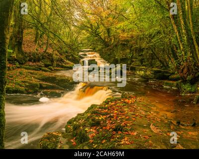 River Cascades on an Autumn afternoon. Stock Photo