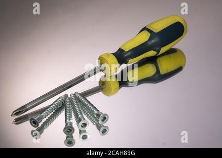 Screwdriver and wood screws isolated on gray background. mirror reflection Stock Photo