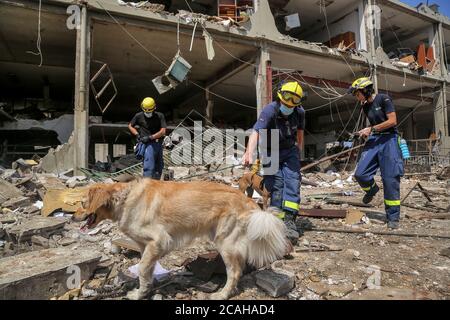 Beirut, Lebanon. 07th Aug, 2020. German civil defence members work among huge destruction inside Beirut port, as several defence workers from foreign countries joined their Lebanese colleagues in search for victims of the massive explosion at Beirut port on Tuesday. Credit: Marwan Naamani/dpa/Alamy Live News Stock Photo