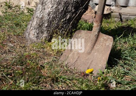 Old dirty shovel used in construction or agriculture leaning on brick white wall Stock Photo