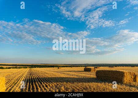 Summer Landscape with Wheat Field At Sunset Stock Photo