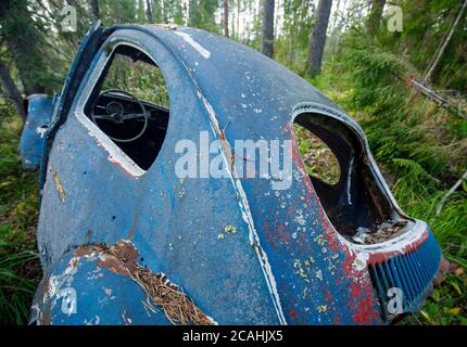 Old blue stripped Volkswagen beetle chassis in the forest at Summer , Finland Stock Photo