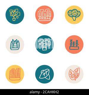 cactus plant logo, ornamental plants, leaves in packs, which are made with thick lines, with various colors, and doodle styles, which can be applied i Stock Vector