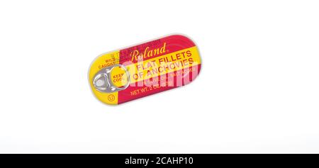 Tinned Roland Flat Fillets of Anchovies in olive oil with salt added, wild caught on white Stock Photo
