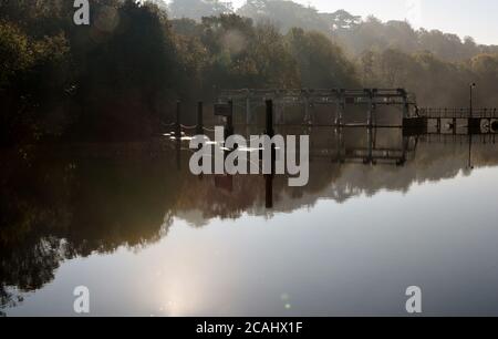 A weir is reflected in the still waters of on the River Thames near Maidenhead, on a beautiful autumn day.