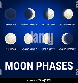 Moon phases illustration, celestial space planet poster background. Astrology poster. Vector illustration. Full Moon surface background. Stock Vector