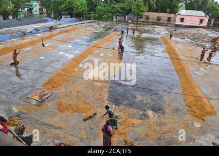 Daily women labor dries rice at a rice mill ground in Savar near Dhaka, Bangladesh, on August 7, 2020 Stock Photo