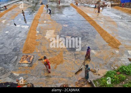 Daily women labor dries rice at a rice mill ground in Savar near Dhaka, Bangladesh, on August 7, 2020 Stock Photo