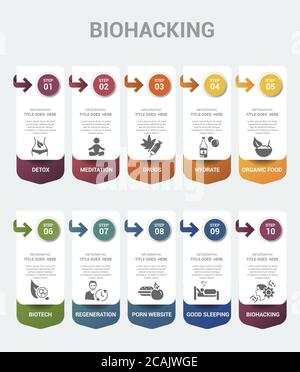 Infographic Biohacking template. Icons in different colors. Include Detox, Meditation, Drugs, Hydrate and others. Stock Vector