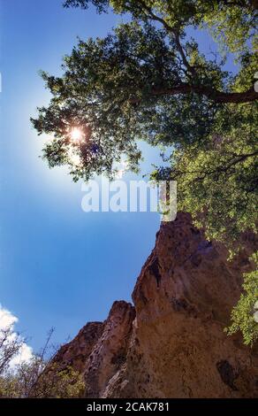 Oregon Ravines Owyhee River Canyon, SE Oregon, now a Wilderness Area and Wild and ...