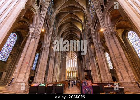 chartres cathedral vaults