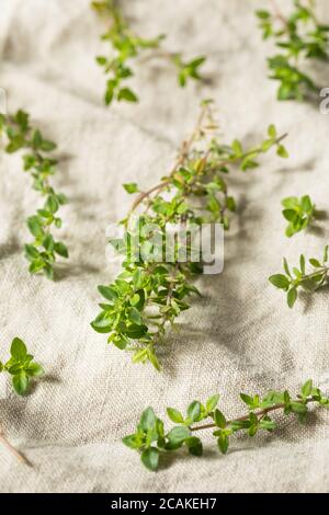 Raw Green Organic Thyme Herb in a Bunch Stock Photo