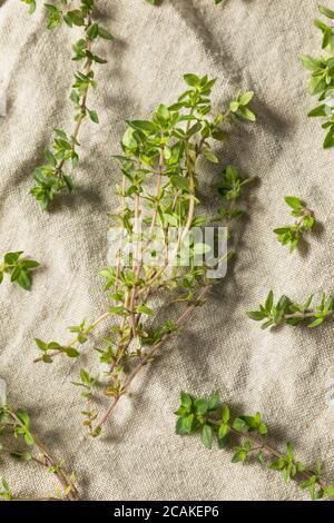 Raw Green Organic Thyme Herb in a Bunch Stock Photo