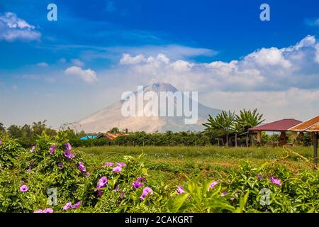 A view of Mount Sinabung over agricultural land, near Lake Toba in North Sumatra, Indonesia Stock Photo