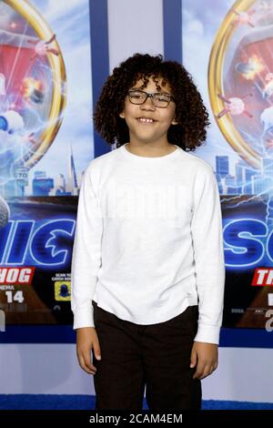 LOS ANGELES - FEB 12:  Ethan William Childress at the 'Sonic The Hedgehog' Special Screening at the Village Theater on February 12, 2020 in Westwood, CA Stock Photo
