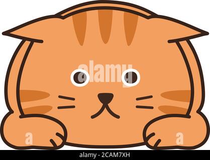 Tabby cat lying down with airplane ear. Vector illustration isolated on white background. Stock Vector