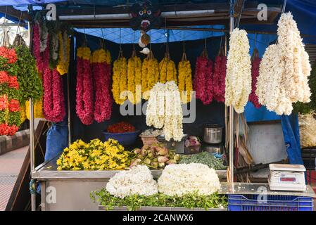 Kerala, India. September 07, 2019. Flower shop on the street at Chalai Bazaar Thiruvananthapuram or Trivandrum. Many garlands hanging in the shop Stock Photo