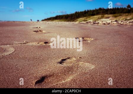 Human footprints disappearing in wet sand by the sea with blue skies above Stock Photo