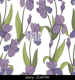 Iris flower graphic color seamless pattern background sketch illustration vector Stock Vector