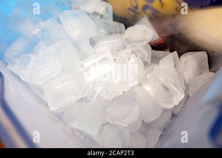 finished ice cubes in the refrigerator ice compartment Stock Photo