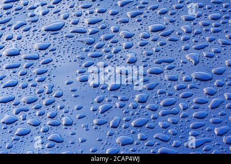 Water droplets on a highly polished blue car bonnet Stock Photo