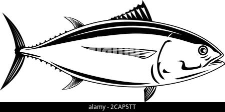 Retro woodcut style illustration of a Pacific albacore Thunnus alalunga or longfin tuna, a species of tuna of the order Perciformes a pelagic predator Stock Vector