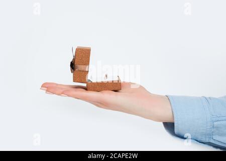 Open brown jewelry box with ring in female hand. Present. Isolate Stock Photo