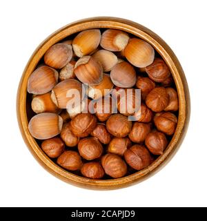 Shelled and unshelled hazelnuts in a wooden bowl. Seeds of Corylus avellana, a species native in Europe. Edible raw fruits in their shells. Stock Photo