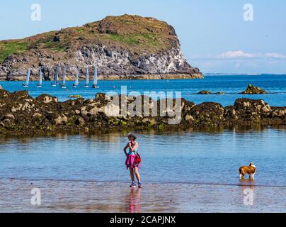 North Berwick, East Lothian, Scotland, 8th August 2020. UK Weather: Perfect day for water sports. A warm sunny day in the Firth of Forth attracts people to take to the water. Sailing dinghies in the water as East Lothian Yacht Club holds a club race with a woman and dog on the beach shore Stock Photo