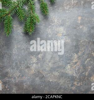Christmas background, square composition on dark textured board with natural green fir twig. Flat lay, top view from above.. Stock Photo